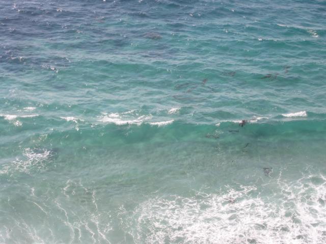 2004/06 June/Monterey Big Sur/640x480_IMG_0902.JPG